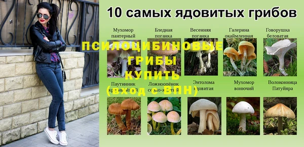 первитин Надым
