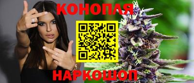 прущие грибы Гатчина