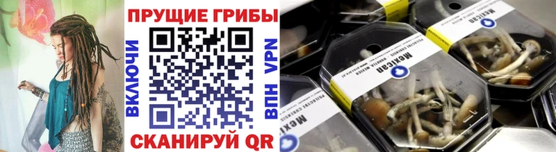 как найти закладки  Златоуст  Галлюциногенные грибы Magic Shrooms 