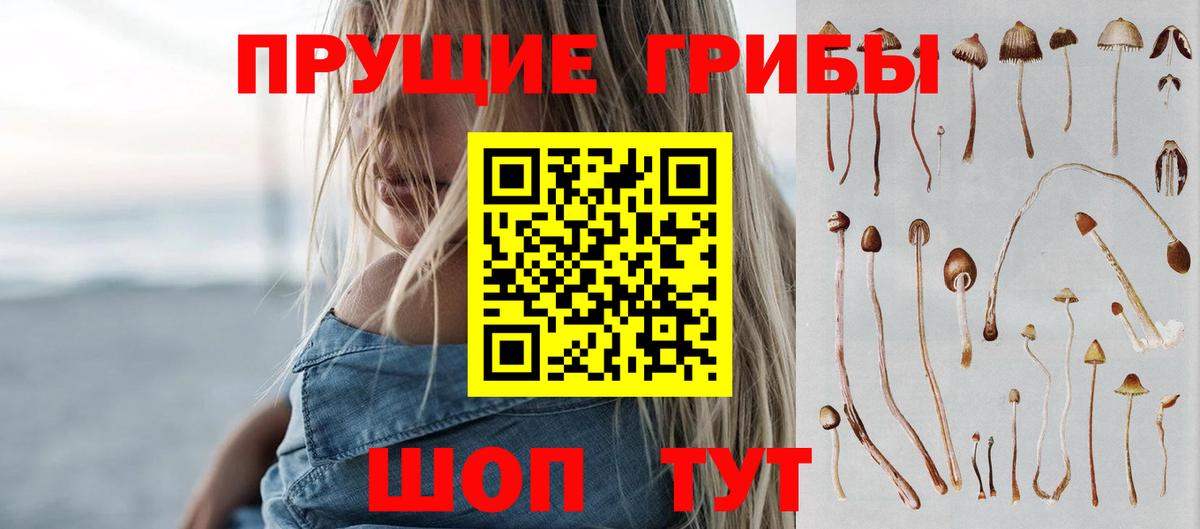 Галлюциногенные грибы GOLDEN TEACHER  Псилоцибиновые грибы GOLDEN TEACHER  Златоуст 