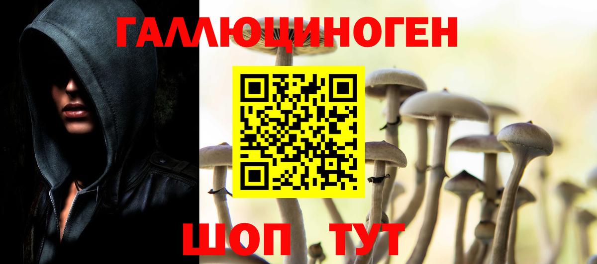 наркота  Псилоцибиновые грибы мицелий  Вход с VPN  Златоуст 