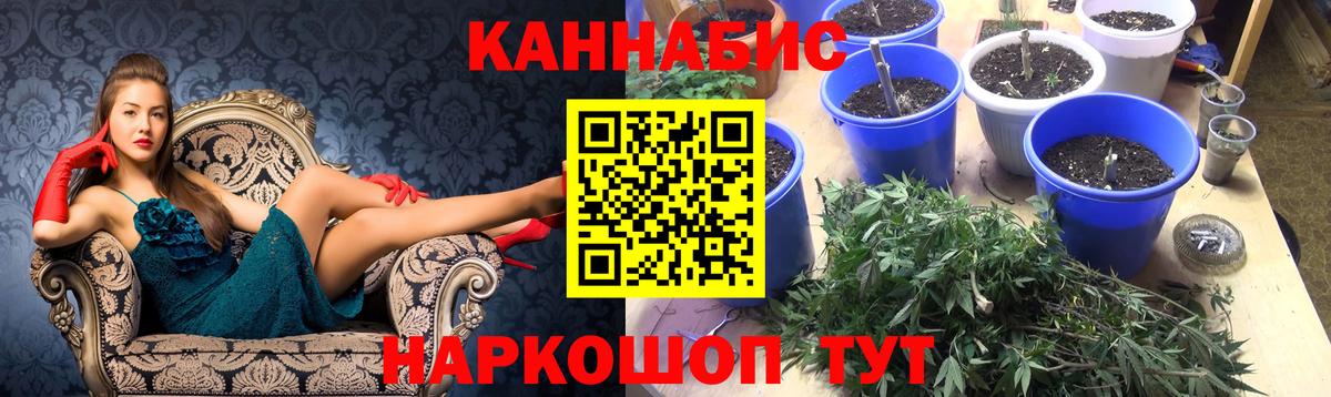 Марихуана тримм  Конопля VHQ  Вход с VPN  Конопля индика  Златоуст 